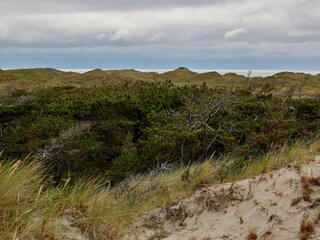 Casa per le vacanze Fjand  24