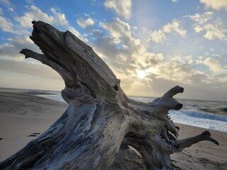 Casa per le vacanze Fjand  26