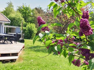 Casa per le vacanze Als  21