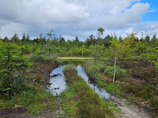 Maison de vacances Houstrup  7