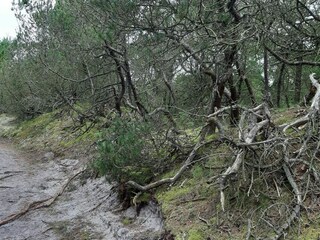 Vakantiehuis Houstrup  7