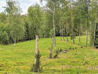 Casa per le vacanze Stockaryd Registrazione all'aperto 6