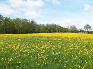 Casa de vacaciones Moholm  5