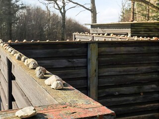 Ferienhaus Spøttrup Außenaufnahme 5