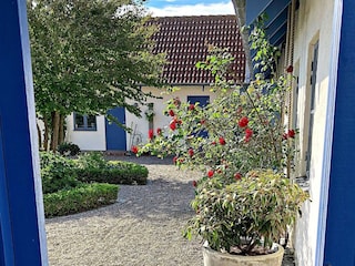 Ferienhaus Blixtorp Außenaufnahme 4