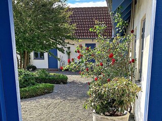 Ferienhaus Blixtorp Außenaufnahme 9