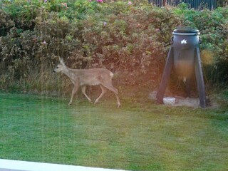 Casa per le vacanze Lønstrup  9