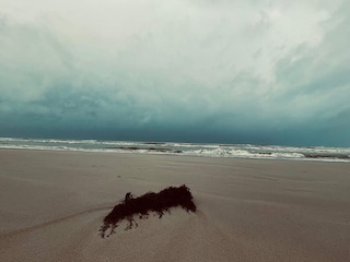 Ferienhaus Løkken  34