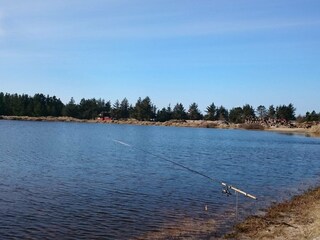 Casa per le vacanze Vejers Strand  14