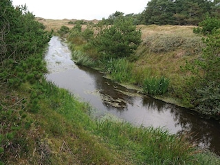 Vakantiehuis Vejers Strand  16