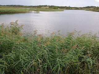Ferienhaus Vejers Strand  21