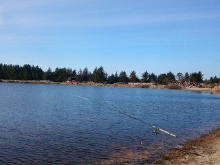 Holiday house Vejers Strand  29