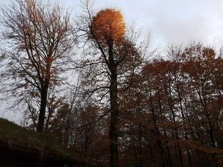 Ferienhaus Børkop  17