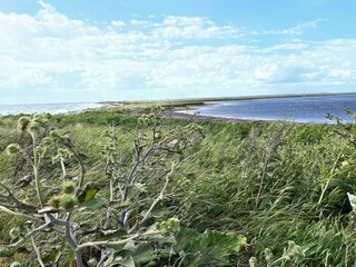 Casa de vacaciones Humble  2