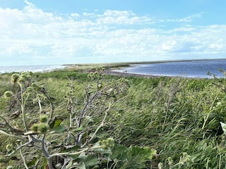 Ferienhaus Humble  20