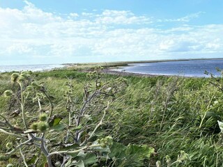 Casa de vacaciones Humble  30