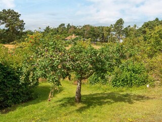 Maison de vacances Rønde  10