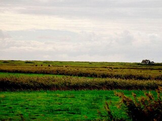 Vakantiehuis Blåvand  21