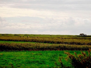 Vakantiehuis Blåvand  30
