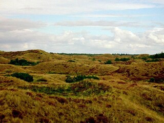 Vakantiehuis Blåvand  6