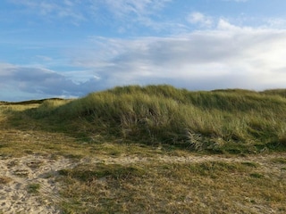 Vakantiehuis Blåvand  23
