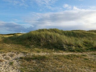 Vakantiehuis Blåvand  33