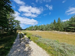 Vakantiehuis Blåvand  17