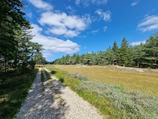 Vakantiehuis Blåvand  25