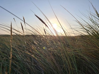 Vakantiehuis Blåvand  34