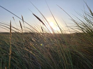 Vakantiehuis Blåvand  35
