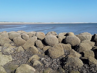 Ferienhaus Blåvand  11