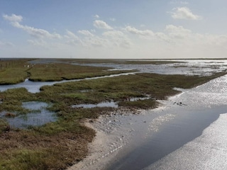Holiday house Blåvand  22