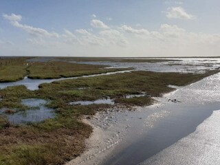 Vakantiehuis Blåvand  15