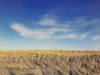 Holiday house Frøstrup  29