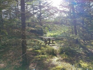 Casa de vacaciones Frøstrup  32