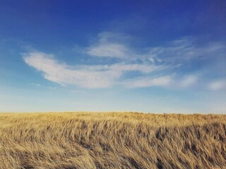 Casa per le vacanze Frøstrup  28