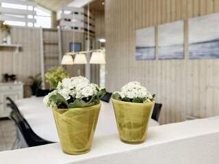 Vakantiehuis Nørlev Strand  27