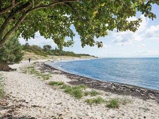 Ferienhaus Sømarken  8