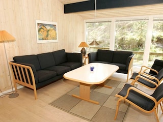 Holiday house Sommerodde  4