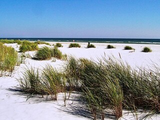 Holiday house Sommerodde  18