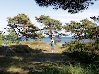 Holiday house Snogebæk  17