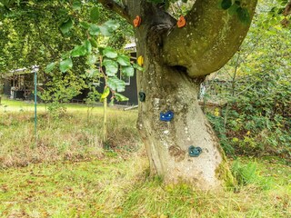 Vakantiehuis Ørsted  24