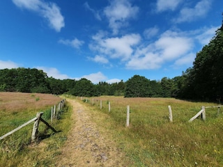 Holiday house Ørsted  16