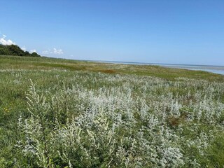 Ferienhaus Ørsted  32
