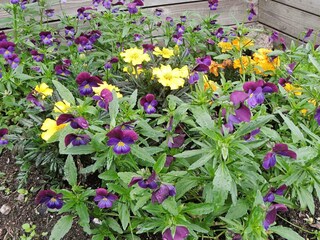 Vakantiehuis Gardsjö  12