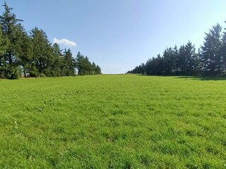 Casa de vacaciones Skærbæk  36