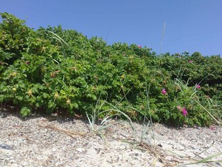 Casa per le vacanze Haderslev  27