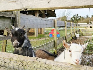 Casa per le vacanze Humlum  26