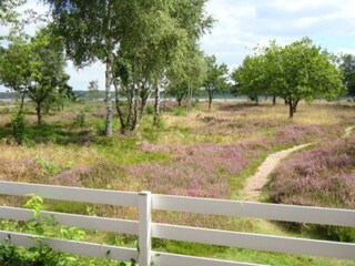 Vakantiehuis Virksund  2