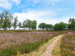 Ferienhaus Virksund  26